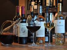 Paladar's wine list is exclusively Latin American
